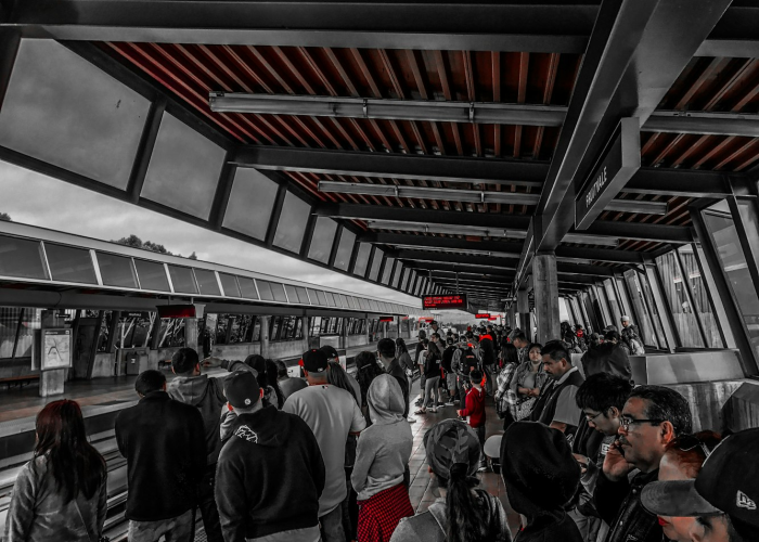 北京新发地市场在什么位置（北京新发地市场在哪儿）