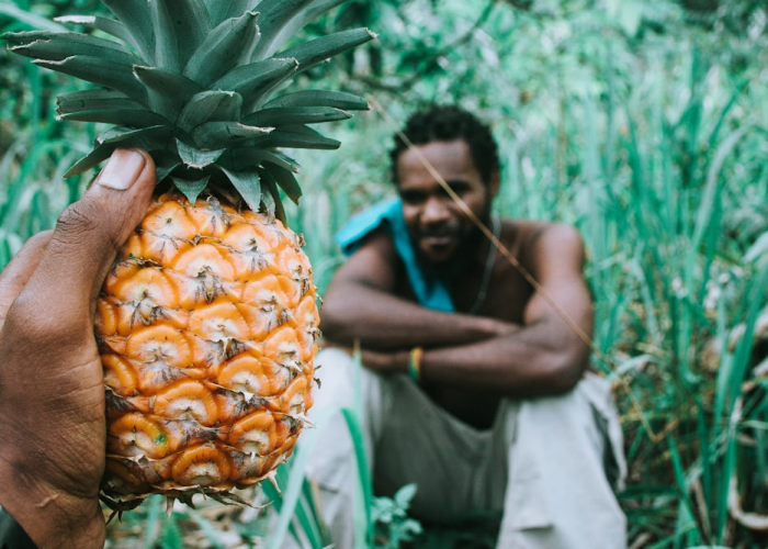 十大分享“好运大菠萝开挂辅助教程”(确实有开挂)-知乎