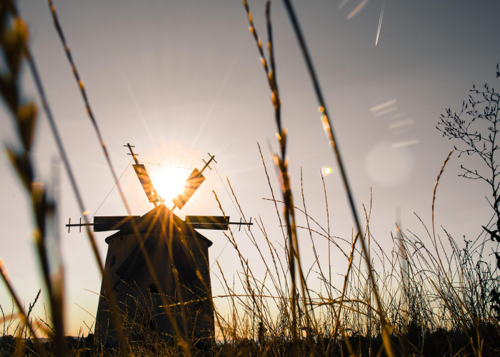 2021高考那几天，在无常中落笔的青春