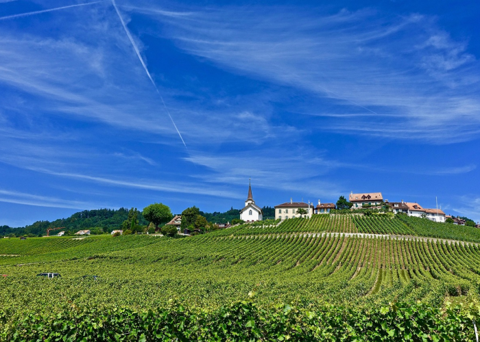 宁波镇海，一座被低估的硬核小城