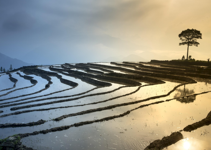 清明，被安排的节气，与无法被安排的思念