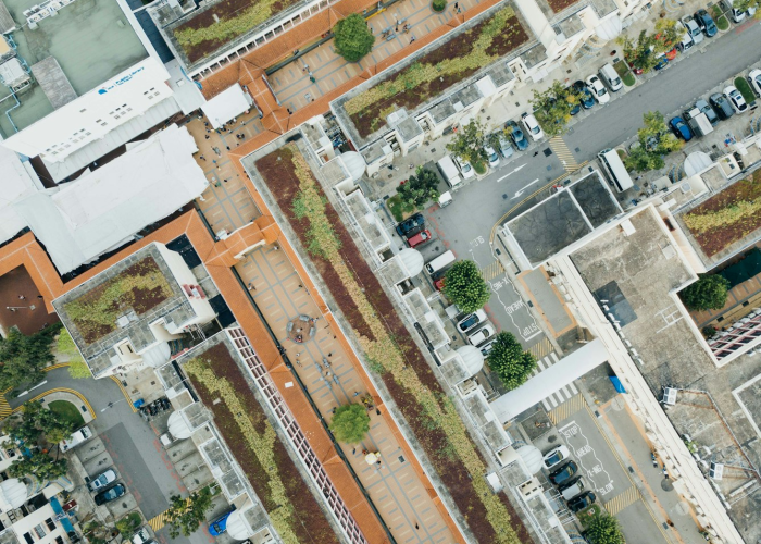 北京限行尾号2021年3月，常态与调整中的城市脉动