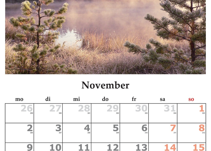 禽流感2021（禽流感2025年12月）