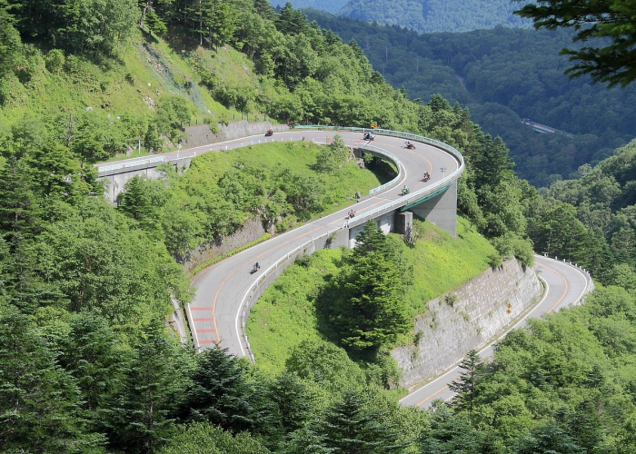 河南沈丘县，疫情下的坚守与清零之路