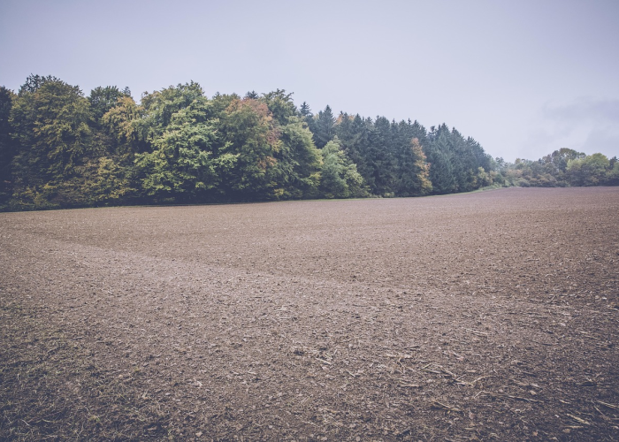 【雄安新区的疫情,雄安新区的疫情最新消息】