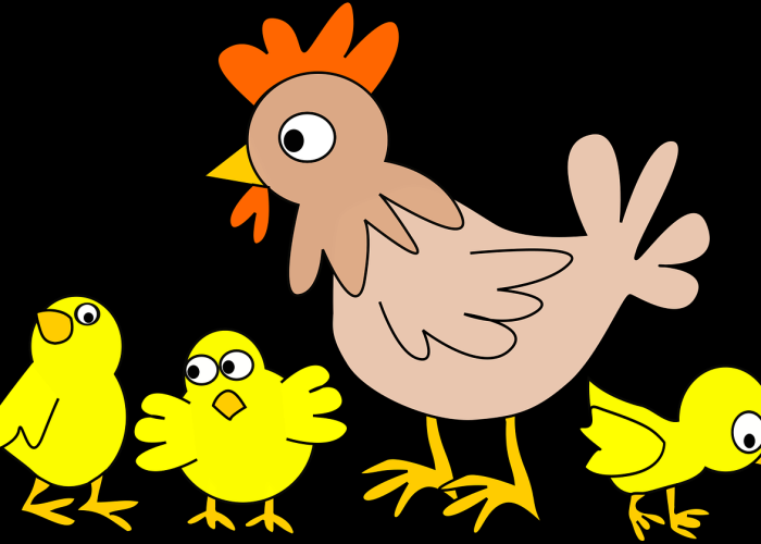 h7n9禽流感的病原体是什么/h7n9禽流感病毒是怎样形成的 h7n9禽流感的病原体是什么/h7n9禽流感病毒是怎样形成的