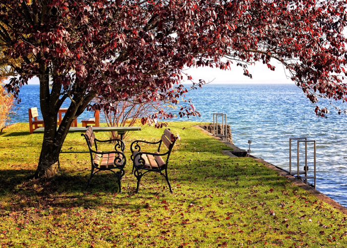 中国有哪5天春夏秋冬哪五天/春夏秋冬五个季节