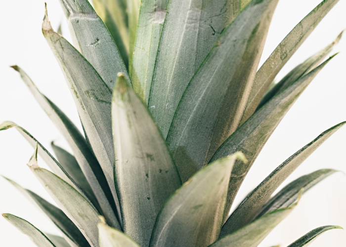 十大分享“智星德州-菠萝透视挂有吗”(果然有挂)-知乎 十大分享“智星德州-菠萝透视挂有吗”(果然有挂)-知乎