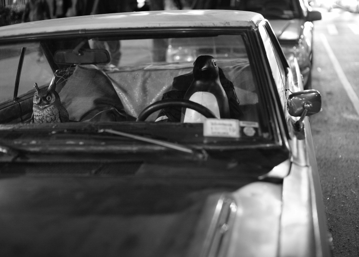 终于发现“飞驰娱乐到底有没有开挂”(原来确实是有插件)-知乎