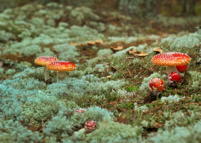 【北京病毒多吗,北京病毒多吗今天】
