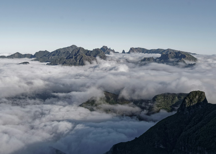 简阳这几天/简阳最新动态 简阳这几天/简阳最新动态