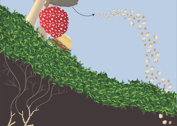 广州病毒毒株（广州疫情病毒毒株）