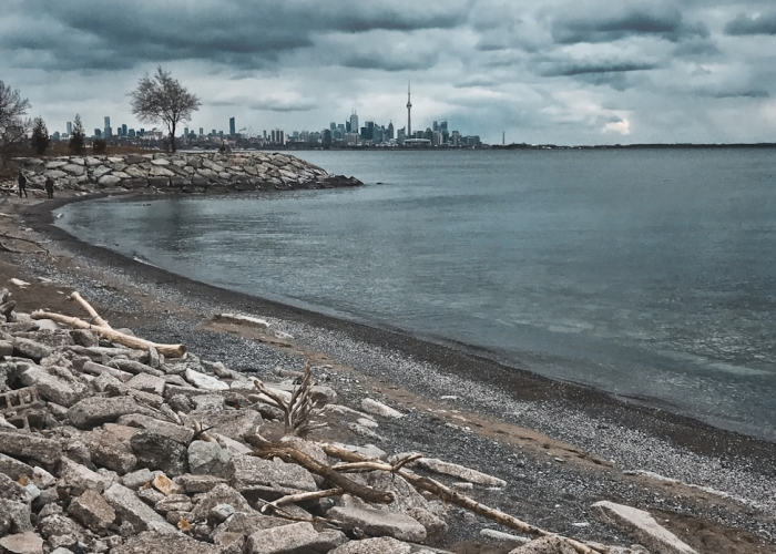 2020年三月,那道被十四亿人共同筑起的堤坝 2020年三月,那道被十四亿人共同筑起的堤坝