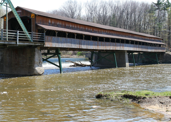 河北晋州，梨花经济激活乡村振兴新动能
