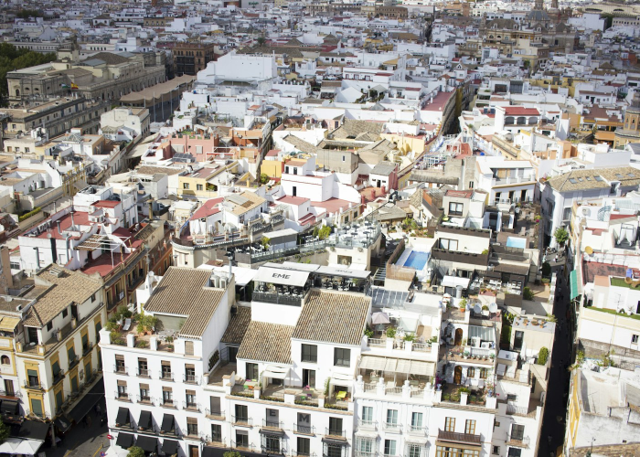 探访橄榄君庭，揭秘其所属街道与社区魅力