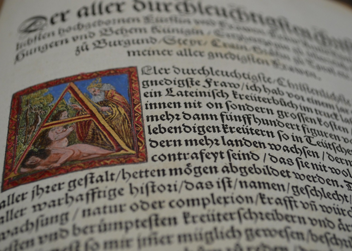 非典是什么时候发生的是哪一年:非典是什么时候的事情 非典是什么时候发生的是哪一年:非典是什么时候的事情