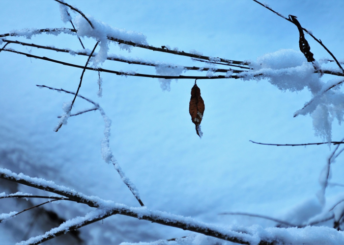 「重大科普」“天天比鸡如何开挂透视”(果然有挂)-知乎