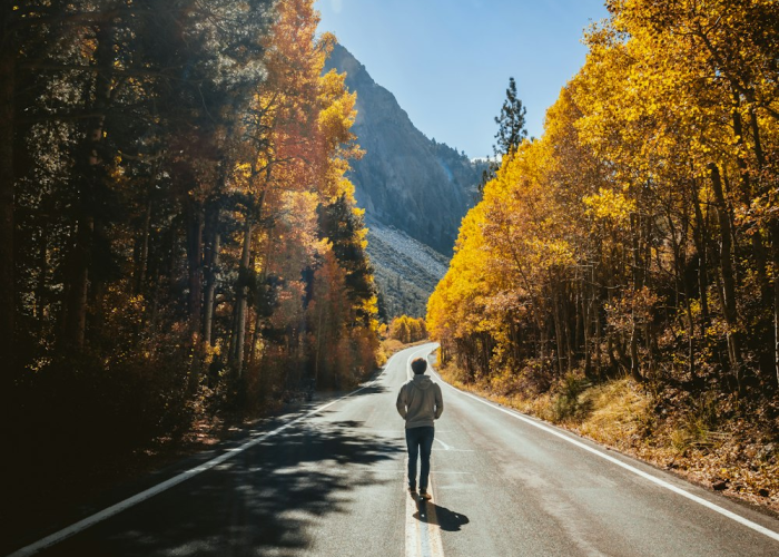 【浙江高速服务区电话查询/浙江高速公路服务区电话】 【浙江高速服务区电话查询/浙江高速公路服务区电话】