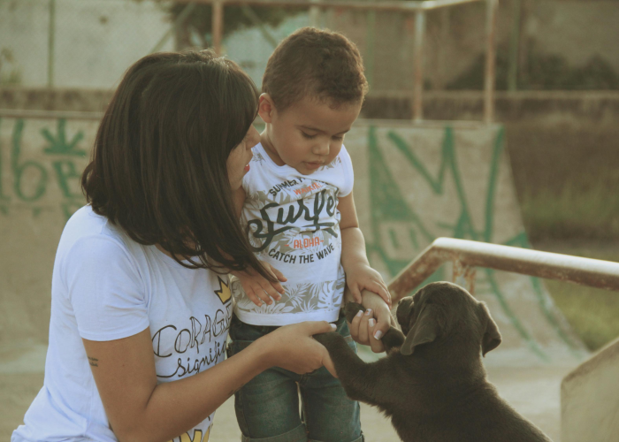 【重大报道】“哈狗十三道到底怎么开挂”(确实能开挂)-知乎