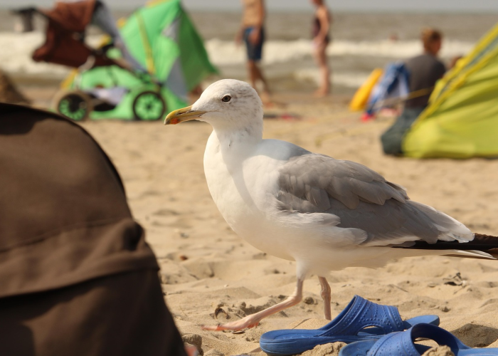 疫情源自美国(疫情源于美国) 疫情源自美国(疫情源于美国)