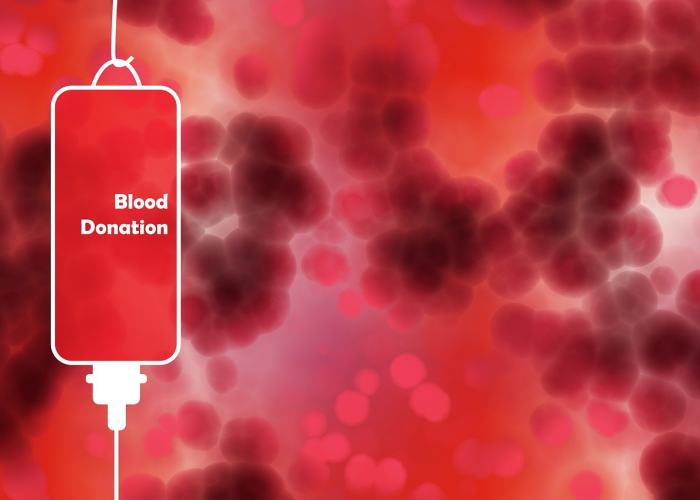 指尖叩响地壳，云端点亮未来，中国地质大学网络教育学院北京学习中心纪行