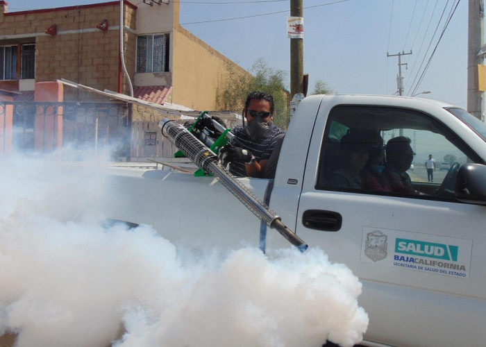 鸡西疫情最新消息，防控措施升级，全力守护边境健康防线