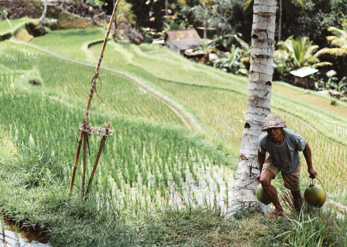 珙县疫情防控开始和结束时间是多少/珙县最新消息 珙县疫情防控开始和结束时间是多少/珙县最新消息