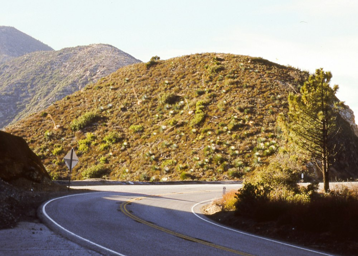 高速公路免费到什么时候结束最新消息高:高速公路免费政策什么时候结束