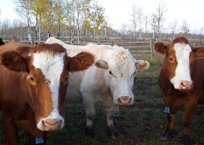 终于发现“杭州都莱透视挂神器”(开挂怎么弄)-知乎