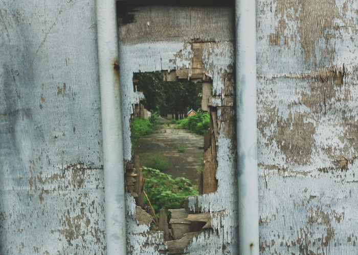 中国第一个发现疫情的人是谁/第一个发现疫情的人叫什么名字