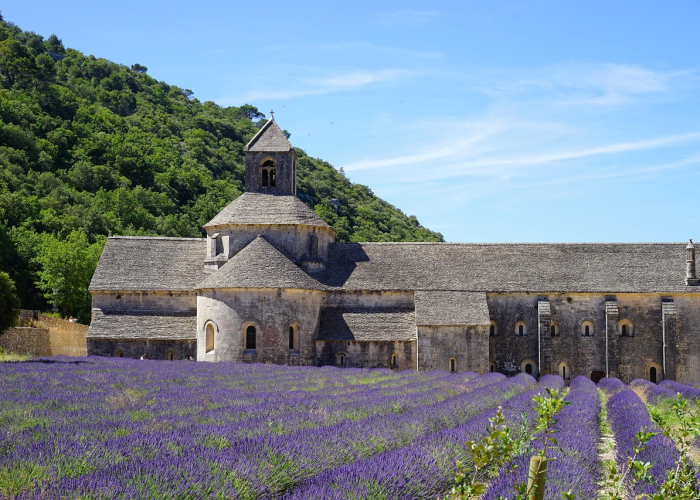 【神农架最新新闻,神农架最新疫情】 【神农架最新新闻,神农架最新疫情】