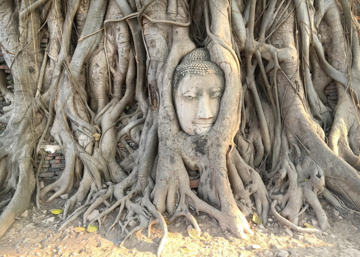 青岛疫情最新通报，社会面动态清零，防控措施持续优化