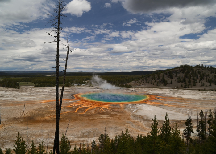 老君山疫情期间门票价格/老君山最新通知