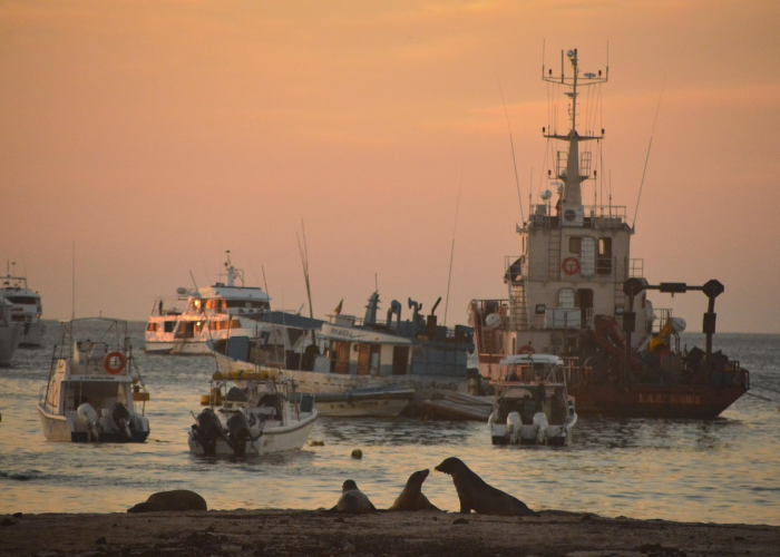 【深圳的役情/深圳役情最新消息今天】