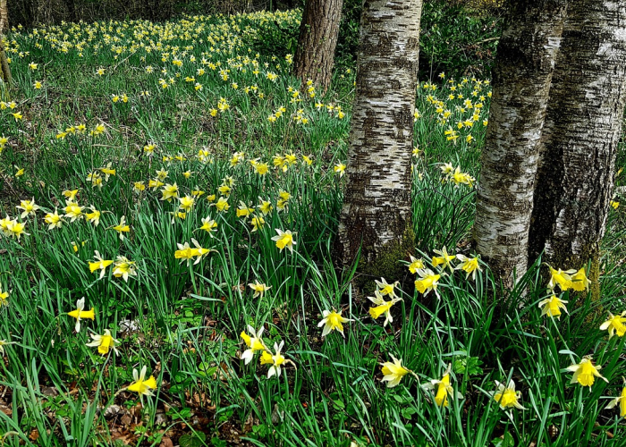 qq捕鱼大作战(捕鱼大决战版) qq捕鱼大作战(捕鱼大决战版)