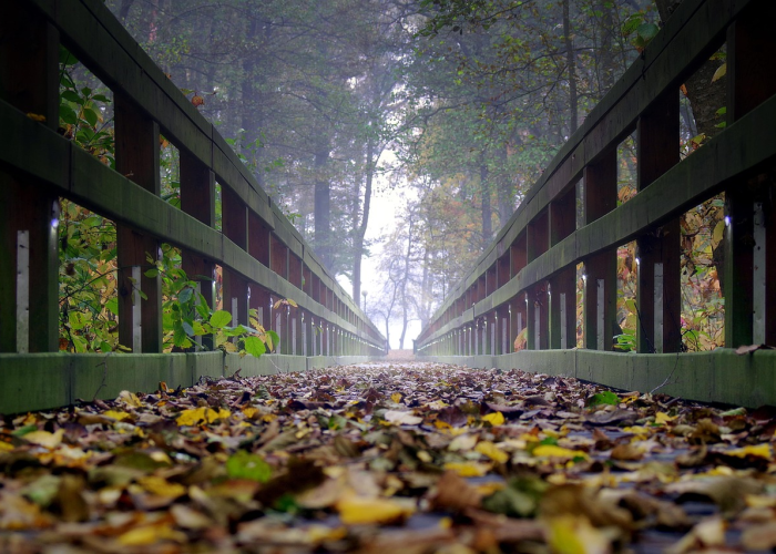 西安千人被隔离:西安1000人被隔离 西安千人被隔离:西安1000人被隔离