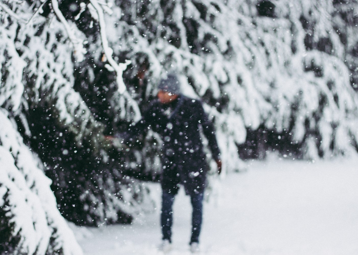 【黑龙江下暴雪,黑龙江下暴雪是真的吗】
