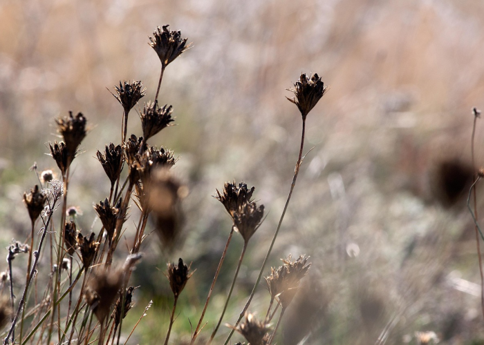湛江官方最新疫情最新消息/湛江疫情最新动态 湛江官方最新疫情最新消息/湛江疫情最新动态
