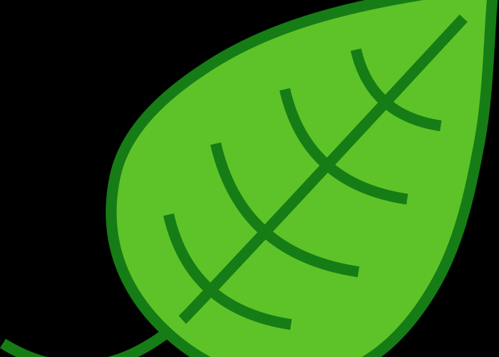 湛江官方最新疫情最新消息/湛江疫情最新动态 湛江官方最新疫情最新消息/湛江疫情最新动态