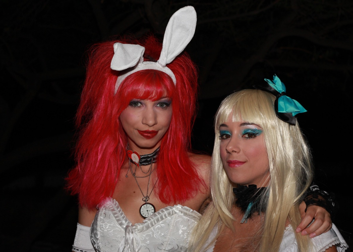 爱丽丝感受/爱丽丝感受50字 爱丽丝感受/爱丽丝感受50字