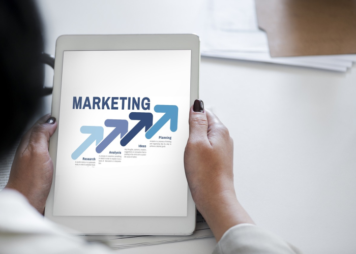 网教大专，数字时代的教育新航道，重塑职业人生的起点