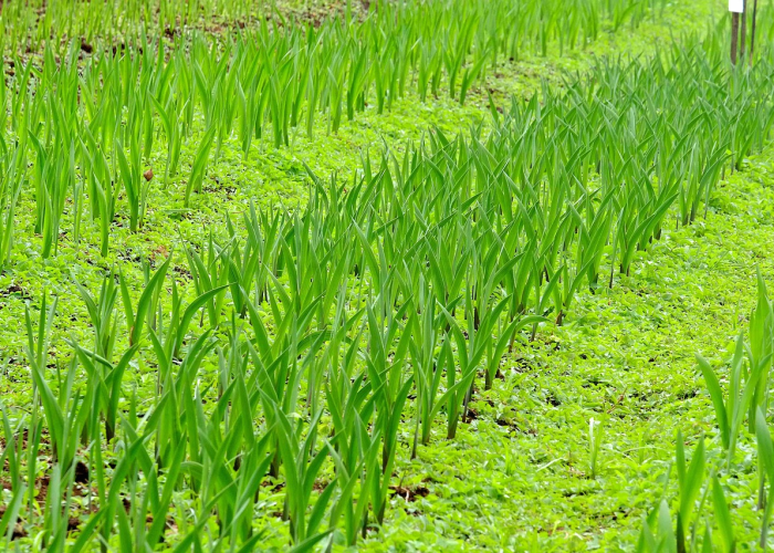 北京疫情最新动态脉络/北京疫情最新更新