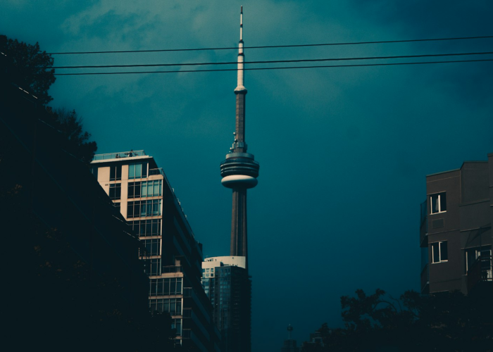 上海最新情况，在精准防控中稳步迈向如常生活