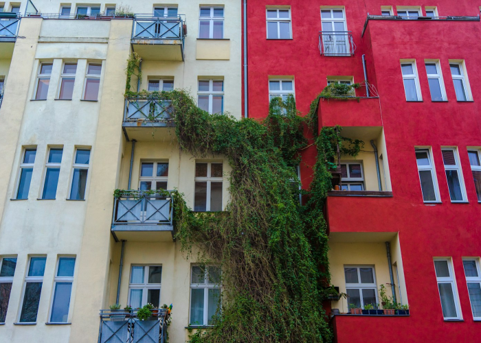 辛集市算是高风险地区吗（辛集市属于低风险区吗）