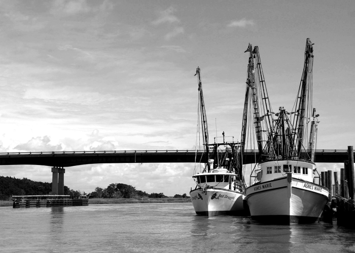 客登庸还有人做吗:客登庸遗民的尴尬现状 客登庸还有人做吗:客登庸遗民的尴尬现状