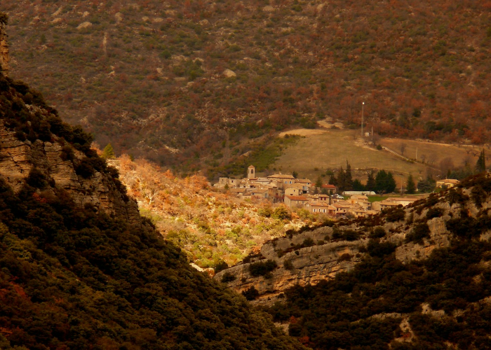 海加尔山军需官在哪/wow海加尔山任务在哪接