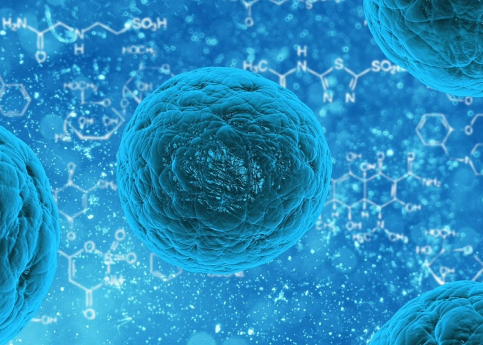 如果不幸感染新冠，我们应该怎么办？家庭护理与科学治疗指南