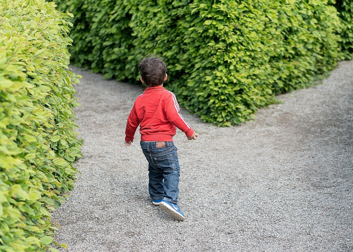 佟楼中学，一所乡镇中学的生存、挑战与微光