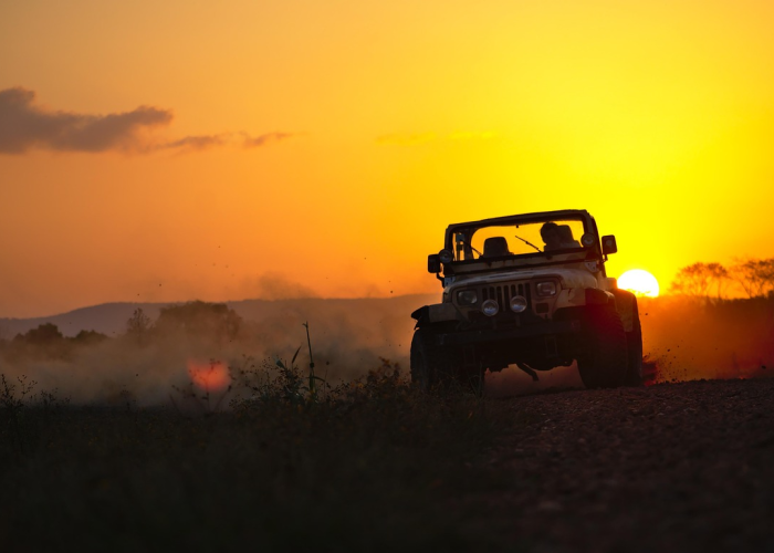 新款汽车上市上半年有哪些车型/新款上市的汽车