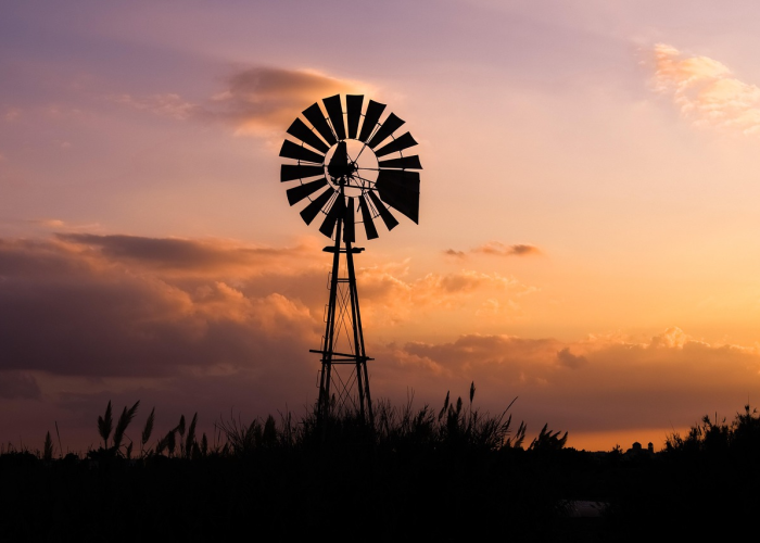 【河北,非必要不出省,河北省非必要不进京】 【河北,非必要不出省,河北省非必要不进京】